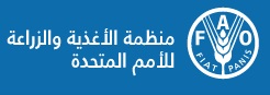 FAO Egypt (United Nations)